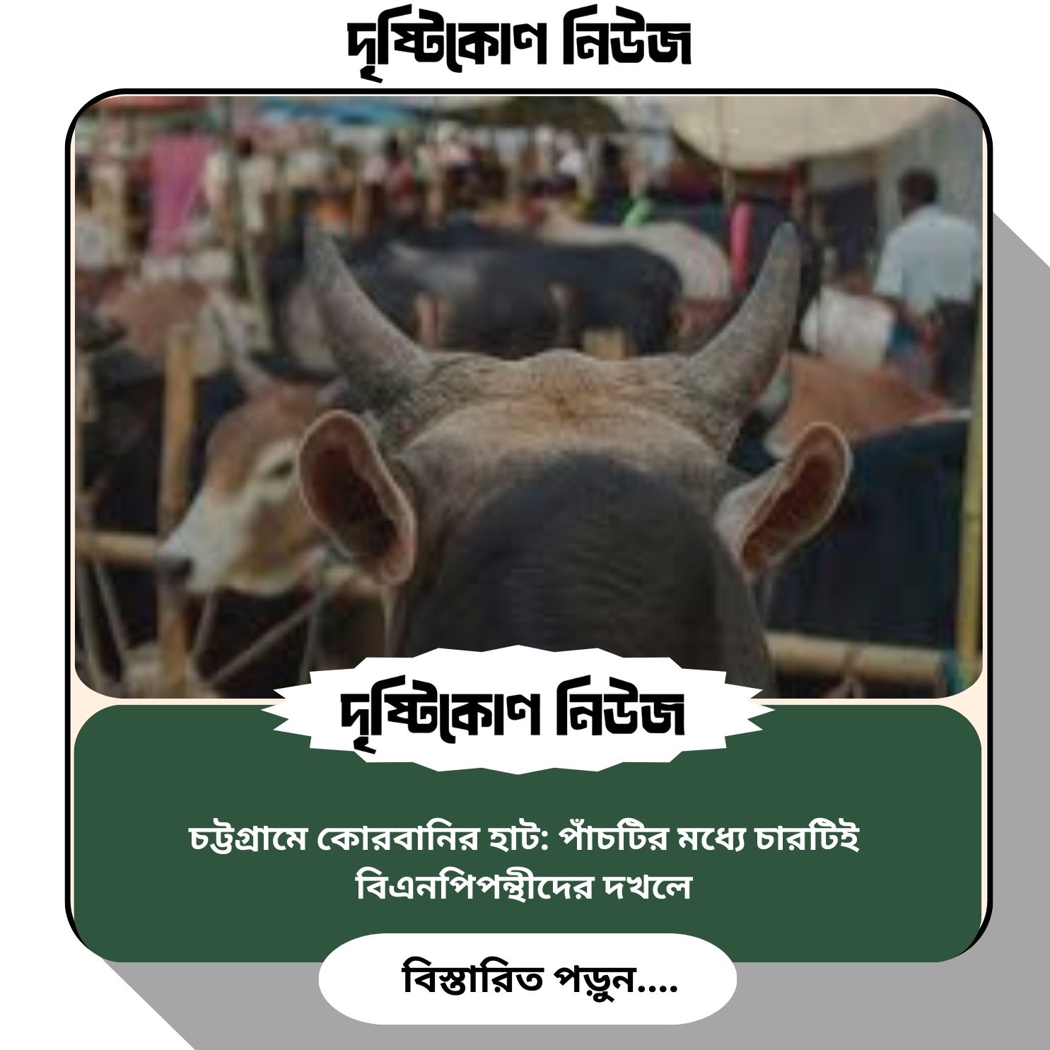 চট্টগ্রামে কোরবানির হাট: পাঁচটির মধ্যে চারটিই বিএনপিপন্থীদের দখলে image