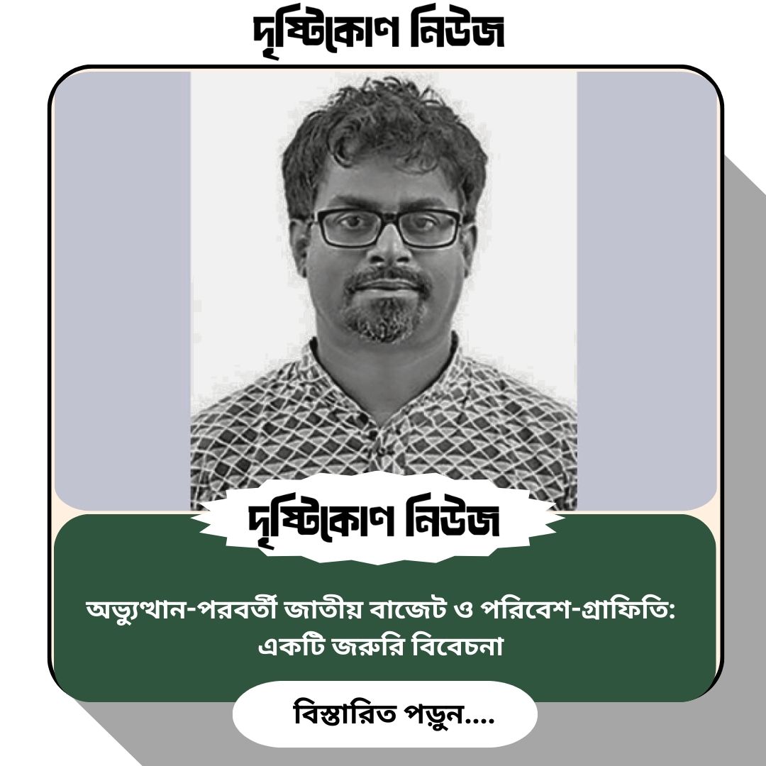 অভ্যুত্থান-পরবর্তী জাতীয় বাজেট ও পরিবেশ-গ্রাফিতি: একটি জরুরি বিবেচনা image
