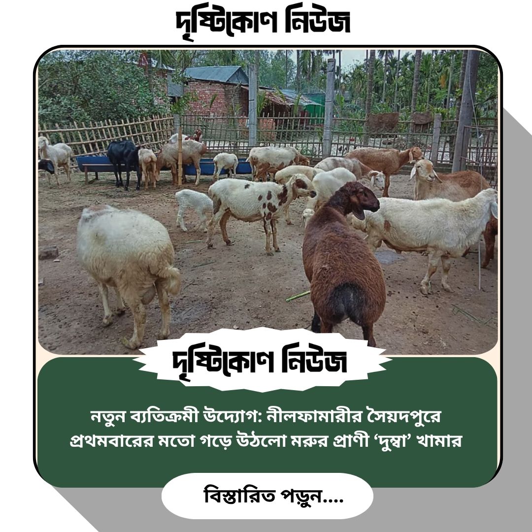 নতুন ব্যতিক্রমী উদ্যোগ: নীলফামারীর সৈয়দপুরে প্রথমবারের মতো গড়ে উঠলো মরুর প্রাণী ‘দুম্বা’ খামার img
