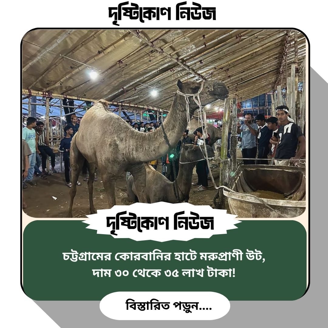 চট্টগ্রামের কোরবানির হাটে মরুপ্রাণী উট, দাম ৩০ থেকে ৩৫ লাখ টাকা! img