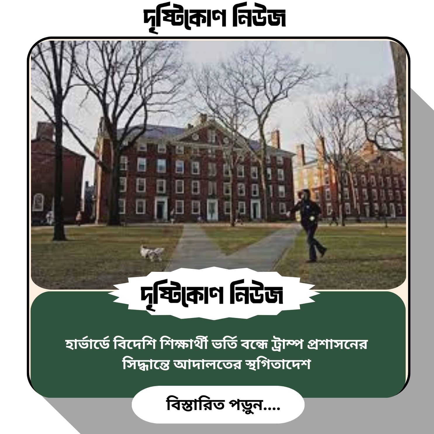 হার্ভার্ডে বিদেশি শিক্ষার্থী ভর্তি বন্ধে ট্রাম্প প্রশাসনের সিদ্ধান্তে আদালতের স্থগিতাদেশ image