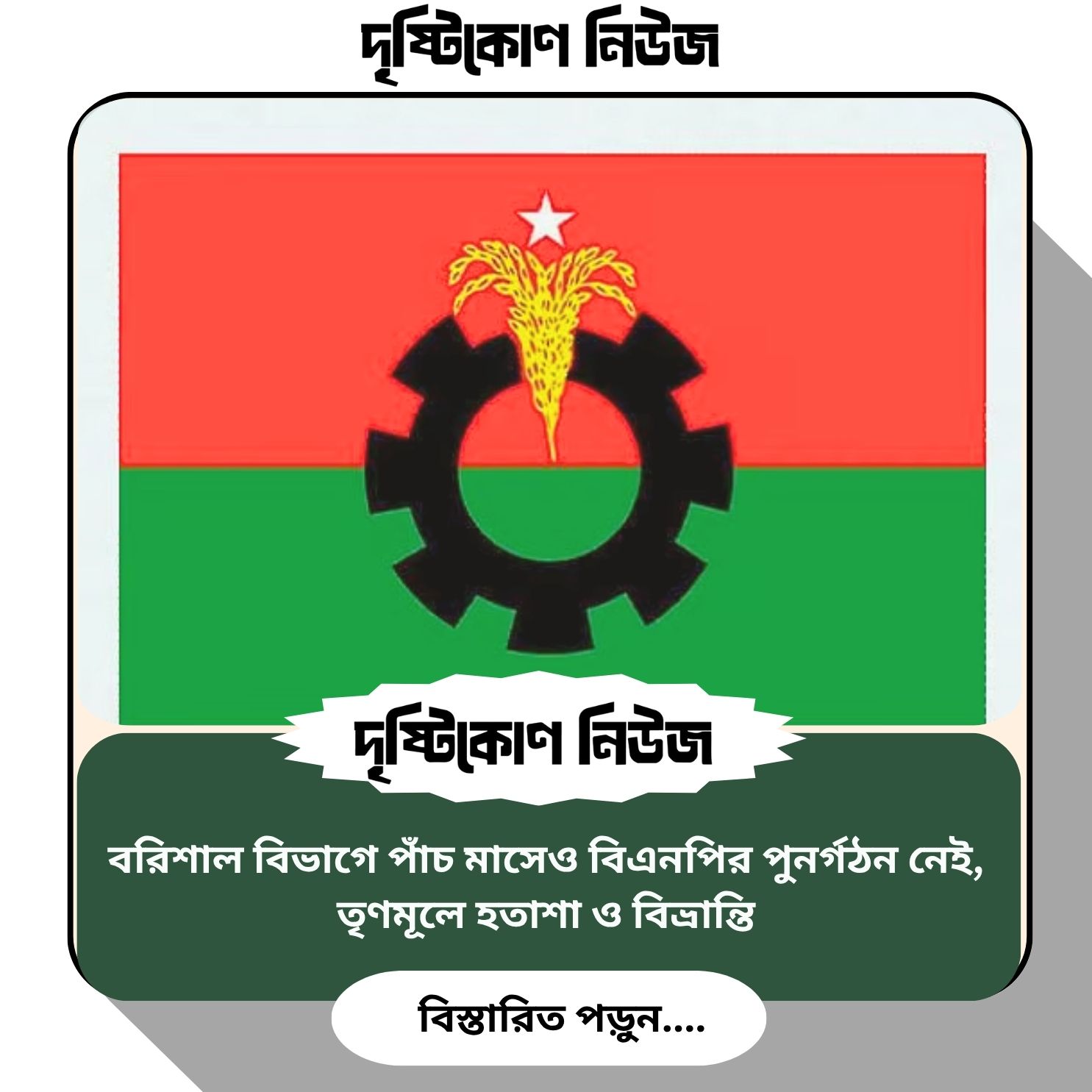 বরিশাল বিভাগে পাঁচ মাসেও বিএনপির পুনর্গঠন নেই, তৃণমূলে হতাশা ও বিভ্রান্তি img